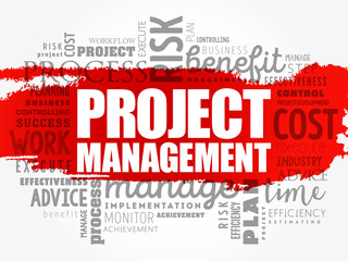 Project Management word cloud collage, business concept background