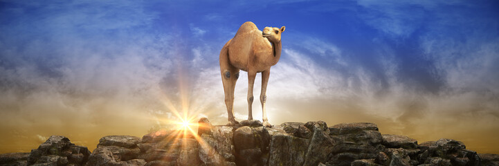 Camels on a beautiful sunset. 3d rendering