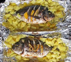 Two dorado fish baked in the oven on aluminum foil with lemon and potatoes