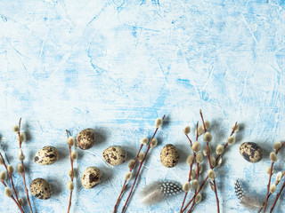 Quail eggs and feathers with willow branches on a blue background. Easter holiday concept. Top view