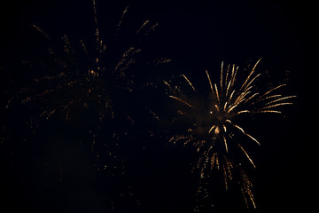 One bright colorful fireworks explosion in the sky. Beautiful pyrotechnics sparkling with effects