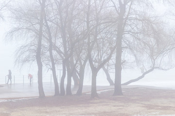 People on an empty spring beach on a river bank among trees. Foggy