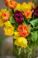 bouquet of colorful tulips in a vase