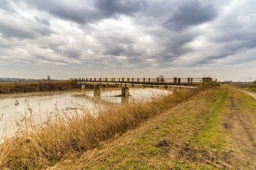astonishing river in flood