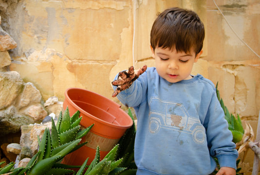 cute two years old baby boy playing with dirth and plants