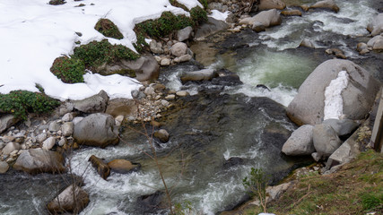 Nature in winter