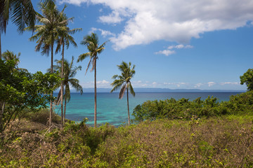 Fototapeta premium exotic rocky beach with blue and turquoise water, crystal clear water, a tropical tranquil relaxing scene