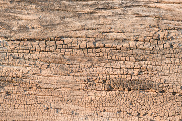 Brown rough wooden textured background.Top view shoot.