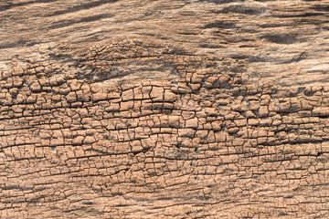 Brown rough wooden textured background.Top view shoot.