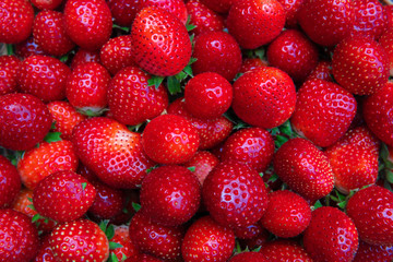 Group of red strawberry background ripe and fresh organic fruit.
