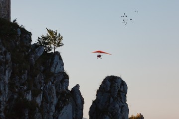 Hang-glider a flock of birds.
