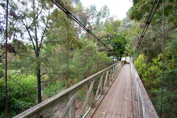 Obraz premium Loch Suspension Bridge