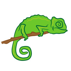 vector drawing sketch lizard reptile chameleon on branch