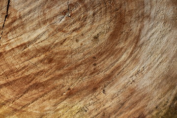 wooden texture background