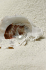 Organic pearl in a shell.