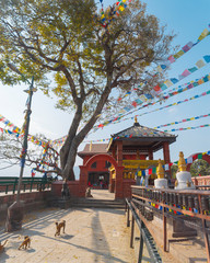 Swayambhunath Stupa