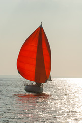 The yacht takes part in competitions in sailing