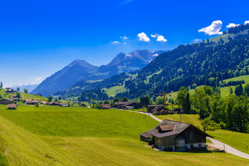 Houses and green meadows, Darstetten, Frutigen-Niedersimmental,