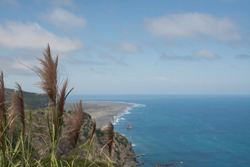 Volcanic coast at Mercer Bay at the east coast of Auckland, New Zealand