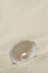 Organic pearl in a shell.