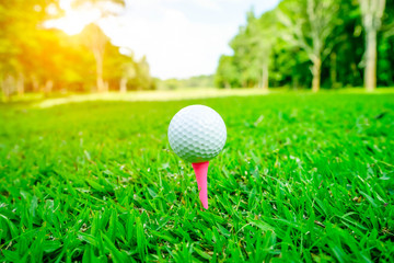 Golf ball on tee in beautiful golf course at sunset background. Golf ball on green in golf course at Thailand
