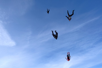 Skydiving.  A flock of skydivers is flying in the sky.