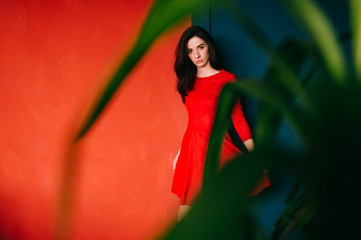 Beautiful fashion girl with dark long hair, spanish appearance and sensual face in red elegnat dress posing on blue red wall in studio. Indoor lifestyle portrait of stylish woman.  Fabulous brunette.