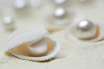 Fototapeta na wymiar Organic pearls in shells. Beautiful seashells arrangement on the white beach sand. Treasure from the sea concept.