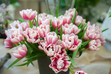Fototapeta premium Bouquet of soft pink tulips. Ggreeting card for mothers day, 8 March Hello Spring