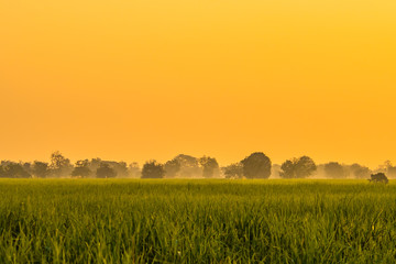 Obraz premium Morning sun in bright days.8