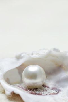 Close up image of organic pearl in a shell