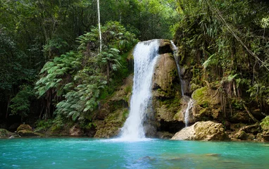 Tuinposter A little waterfall in the centre of tropics of Samana, Dominican Republic. © jenya_tarasof