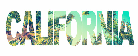 Word California with palm trees on white background - obrazy, fototapety, plakaty