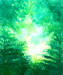 Fototapeta na wymiar green forest abstract grunge background