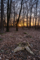 Sonnenaufgang auf dem Rußberg