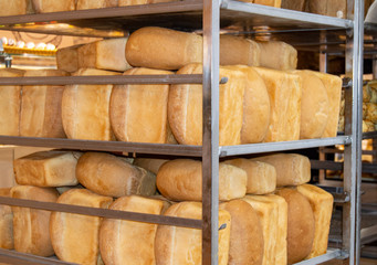 The ranks of the hot crispy bread loaves lying on a shelf in a supermarket, a bakery, a background...