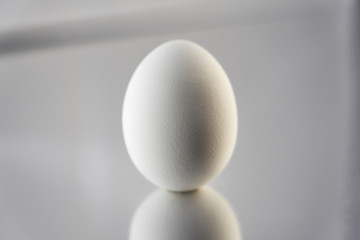  White egg with silver reflective background. Easter concept. Copy space.