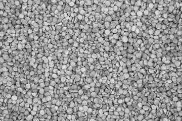White seeds and grains of cereals background texture