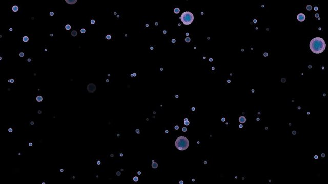 Monocyte type leukocyte cells flowing on black background