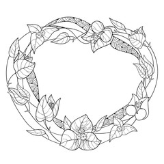 Round wreath of outline Bougainvillea or Buganvilla flower, bud and leaf in black isolated on white background. 