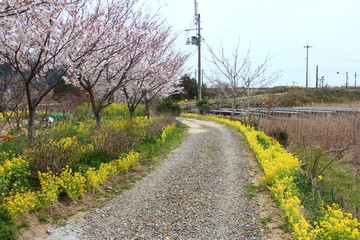 散歩道