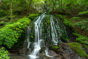 叶山　白水の滝