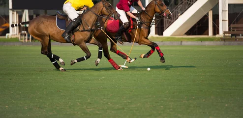 Tuinposter Horse Polo Player protect a polo ball. © Hola53