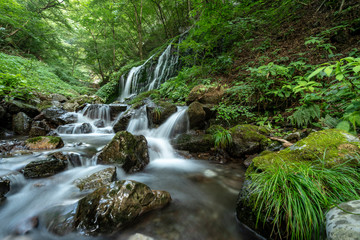 叶山　白水の滝