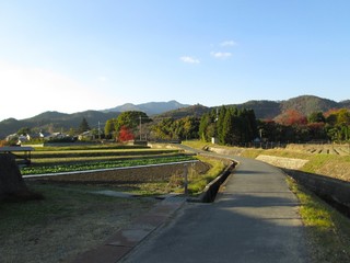 田舎道
