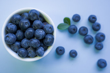 Blueberries in white pot. Fresh Blueberries.