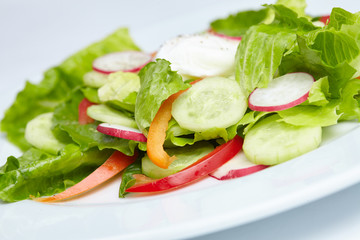 fresh salad