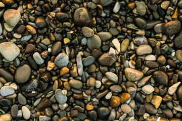 Sea Stones - Pebbles