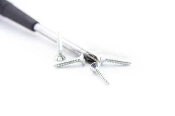 four screws next to the Phillips screwdriver on white background