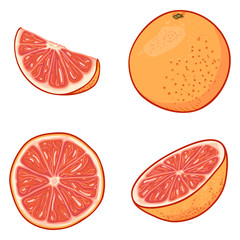 Vector Set of Cartoon Grapefruits.